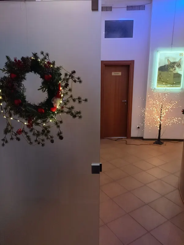 Життя офісу